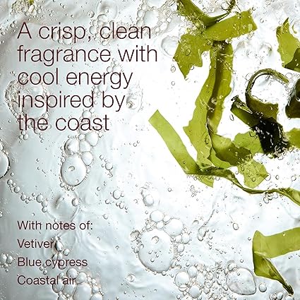 Bath & Body Works 3-in-1 Hair, Face & Body Wash for Men – Ocean Scent, Men's Shampoo & Cleanser with Pro-Vitamin B5 & Aloe, Coastal Air & Cypress Scent, 10 fl oz - 2 Pack